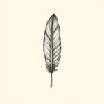 Sketch Feather Tattoo