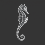 White Ink Seahorse Tattoo