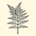 Woodcut Fern Tattoo
